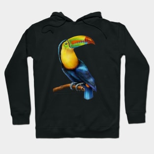 Toucan Hoodie